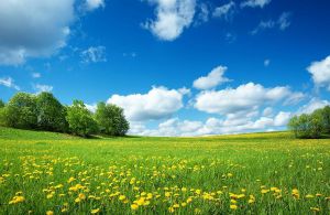natureza